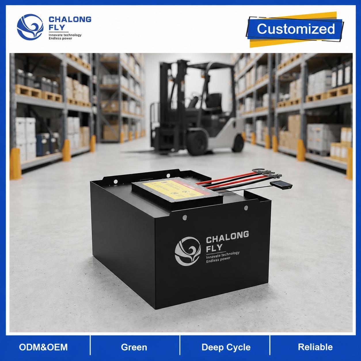 51.2V 608Ah LiFePO4 Forklift Battery with 4G Monitoring and SOC Display