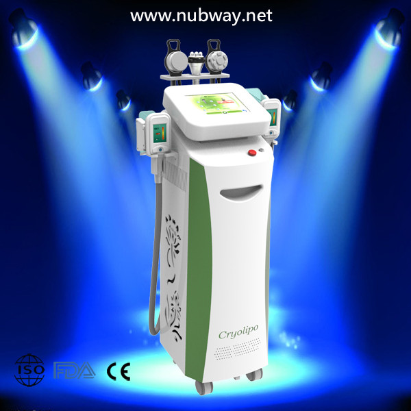 best China Cryo slimming machine 5 handles cryolipolysis fat loss beauty salon equipment