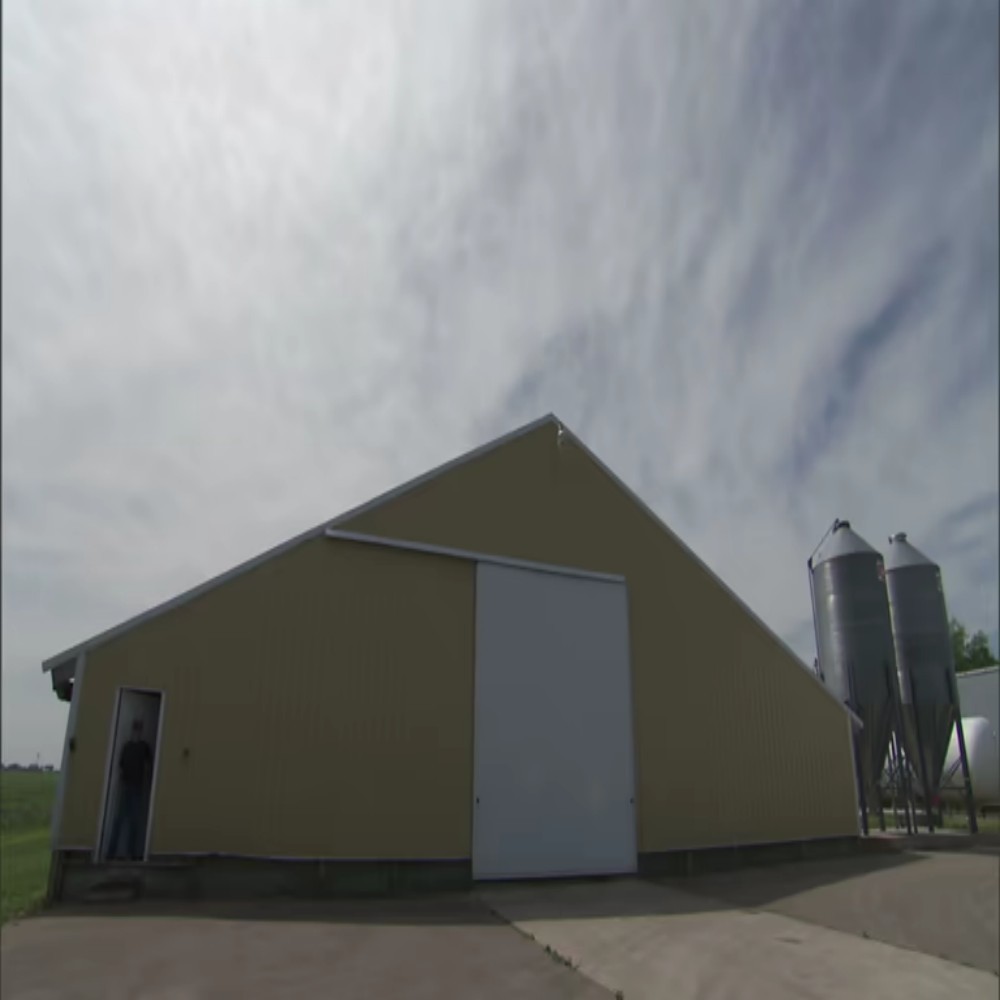 Weather Resistant Steel Chicken Coop with Fast Installation and Modular Structure for Poultry Farming