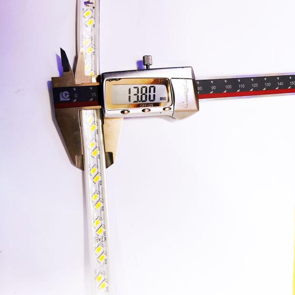 110V / 220V LED Strip Light 100m/roll With Connector Customization 8mm 10mm Etc PCB Width