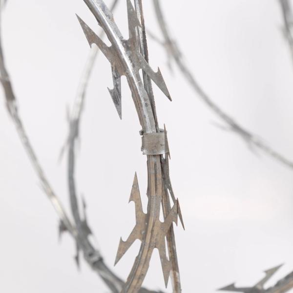 CBT -60 Hot Dipped Gi Razor Barbed Wire Fening Rust Proof Double Coils Cross