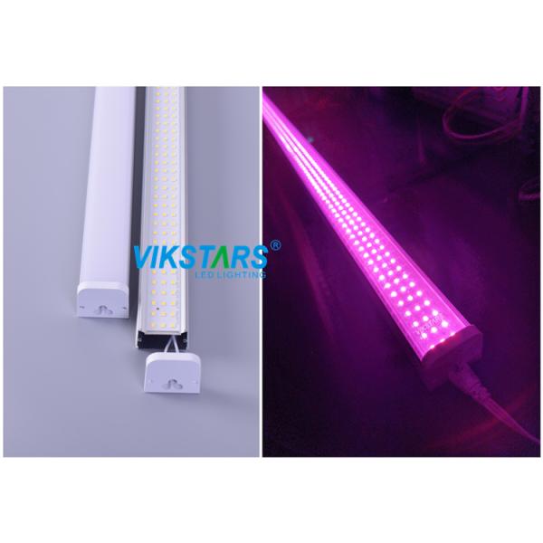 AC85V к заводу СИД ясности 265V растут CE CB спектра SMD2835 светов полный