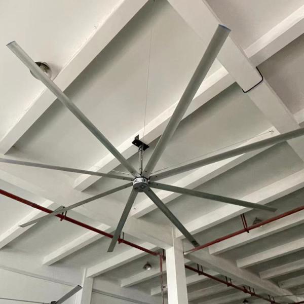Os fãs de ventilação de alumínio dos rebanhos animais das lâminas esgotam o refrigerador de ar para o armazém