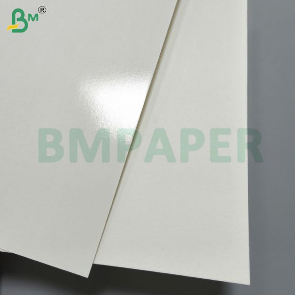 PET Coating Dining Plate Paper Material White Color Food Tray Paper