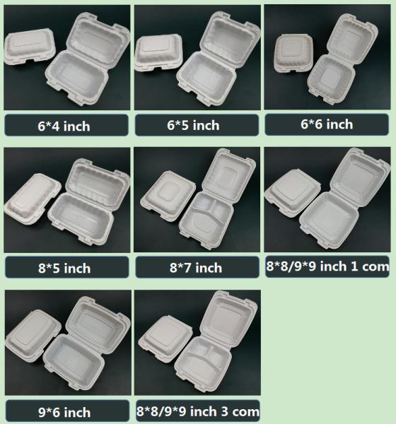 Wholesale 8 Inch Degradable Snap Button Clamshell Lunch Wrapper Bento Box Disposable Food Take Away Packaging