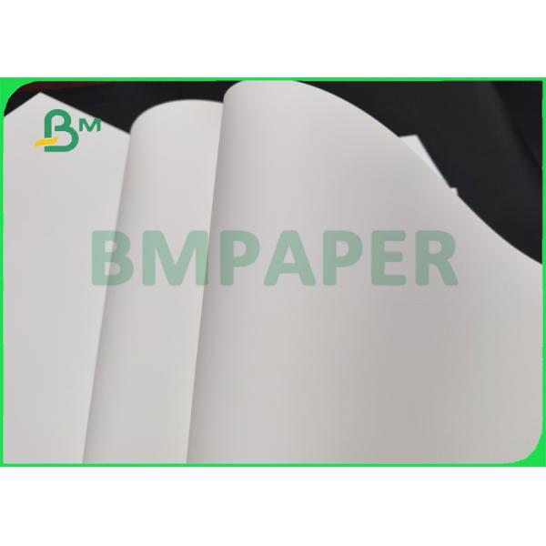 papel sintético del ANIMAL DOMÉSTICO 200um para Bill Boards al aire libre calor Tesistant de 320 x de 460m m