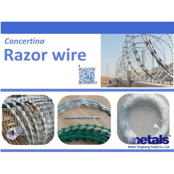 Fios de barbear de Concertina revestidos de PVC verde 450 mm Círculo exterior para vedação de segurança