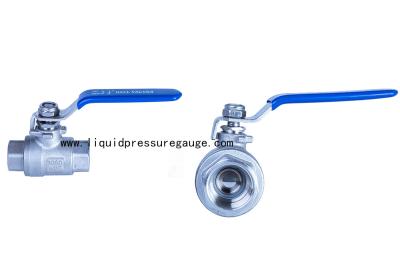 Stainless Steel BSP Instrument Manifold 2 PC Ball Valve 1/4 NPT Female To Female