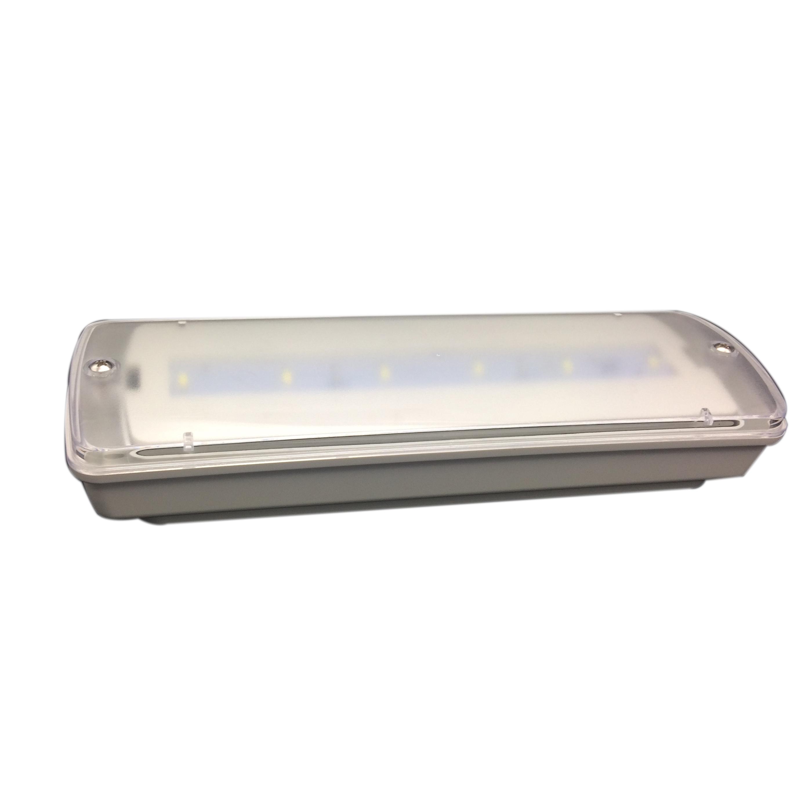3 Hours Rechargeable Bulkhead Waterproof Emergency Light IP65 Plastic Ni-Cd L116N-E