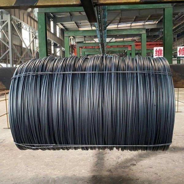 ASTM Standard Drawn Steel Wire for Products