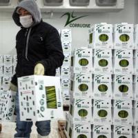 Boîtes ondulées de fruits Solution d'emballage personnalisable et durable
