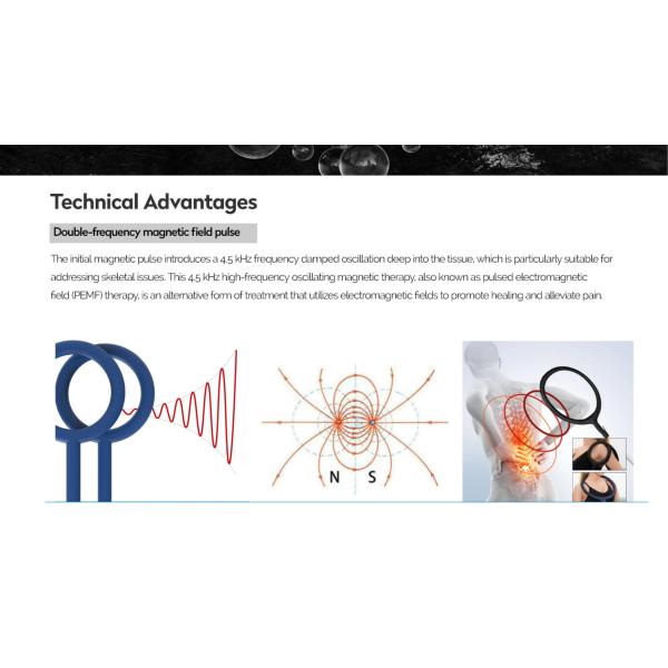 Pmst Loop Pemf Therapy Machine For Human Pain Relief Animals Health Care
