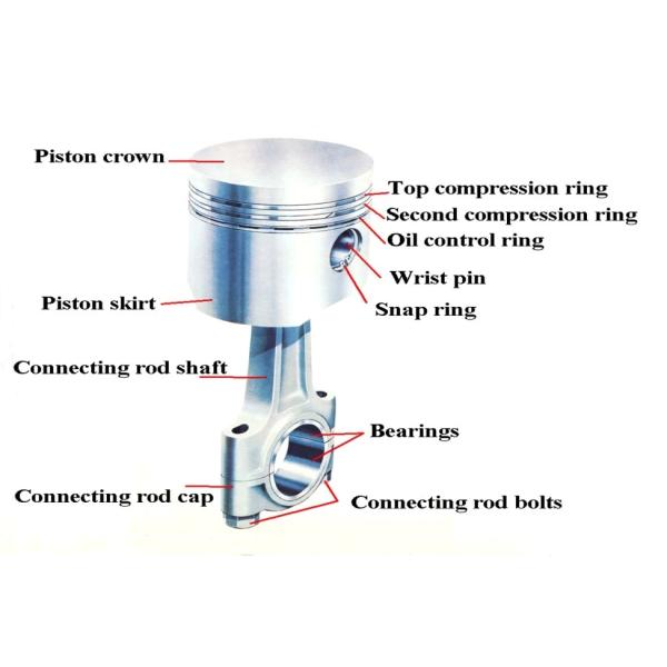поршени двигателя дизеля 158.75mm K19 KT19 KTA19 KTAA19 QSK19 4309218 4913795