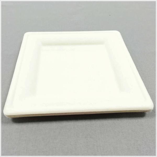 China Facotry Wholesale Sugarcane Pulp Square Plate-6 Inch/8inch/10inch,100% Biodegradable Disposable Square Party Plate