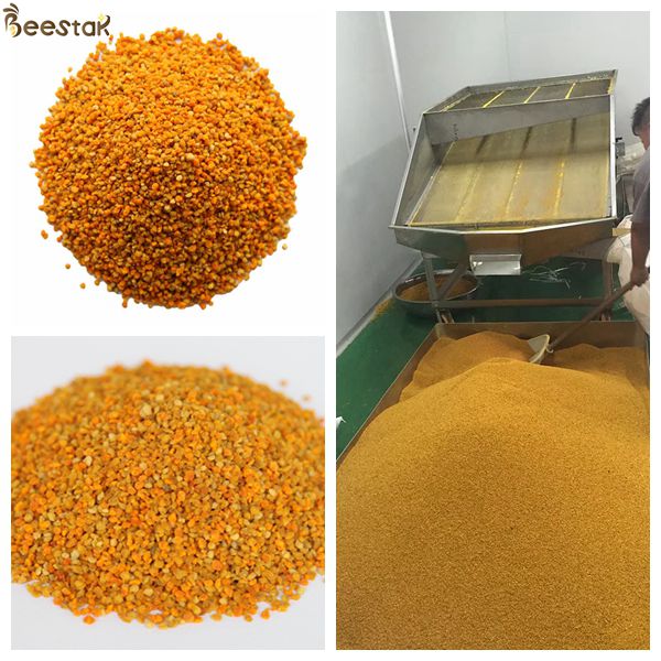 Amarelo grande dos grânulo do pólen misturado fresco da abelha do girassol