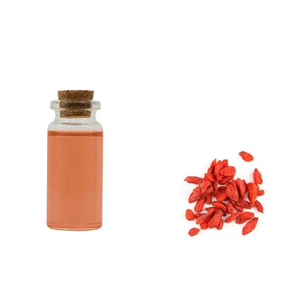 Aromatherapy Cosmetic Wholesale bulk Matrimony vine Lycium chinensis Chinese wolfberry oil