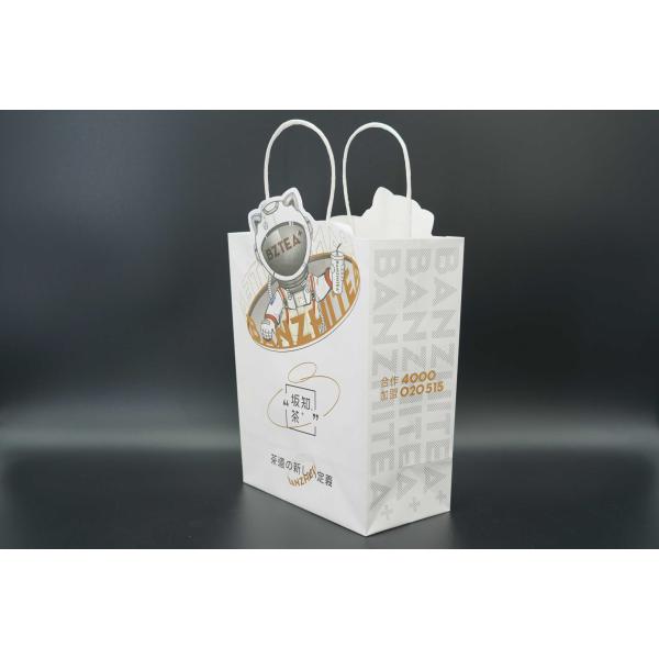 Custom Recycled Paper Printed Shopping Bag Packaging Gift Shopping Paper Bags