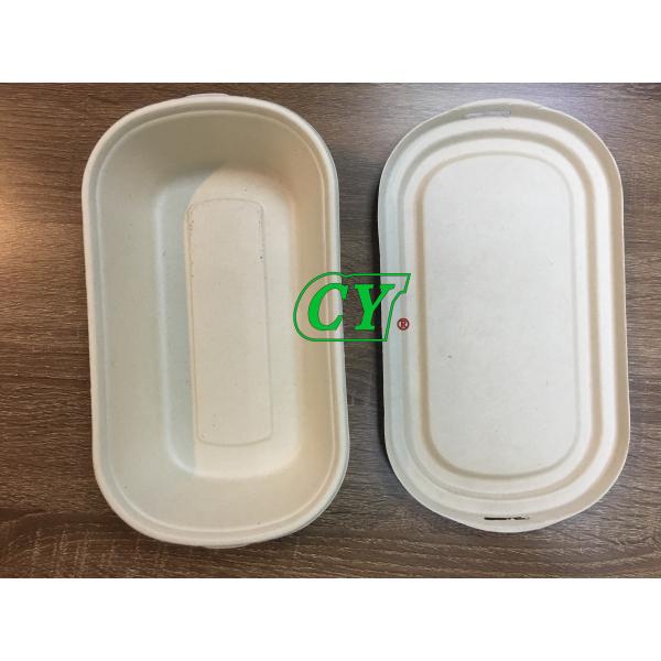PLC Paper Pulp Molding Machinery Manual Compostable Sugarcane Tray Dry In Mold Wet Press Machine