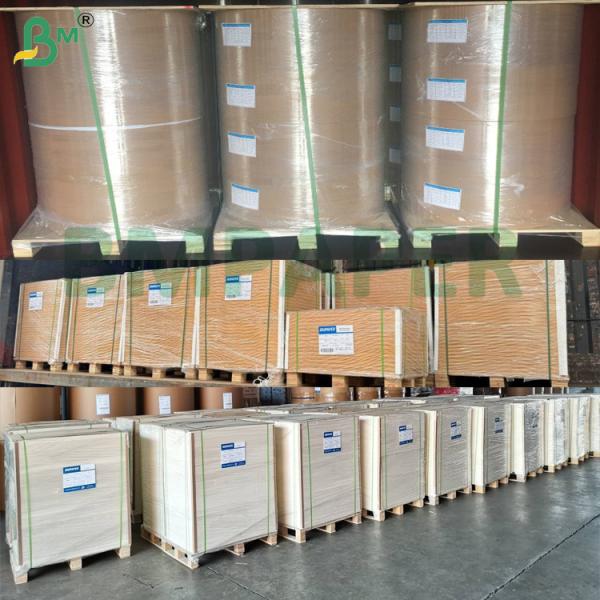 40g Degradable Food Safety Grease Resistant Paper For Sandwiches Hamburger packaging