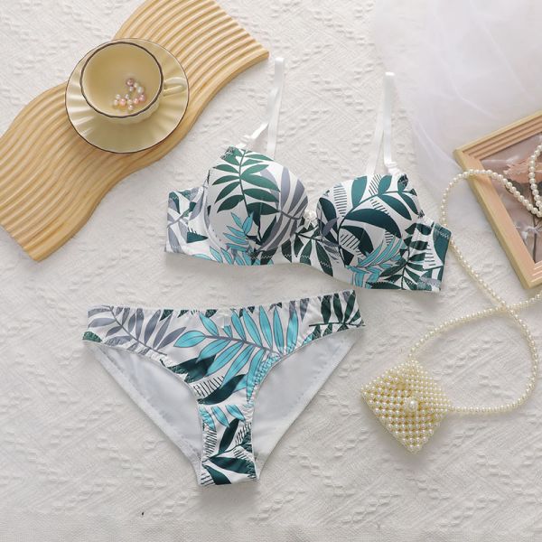 Women Lingerie Printing Set Ladies Set Factory Wholesale Lingerie Comfortable Women Bra Set Printing