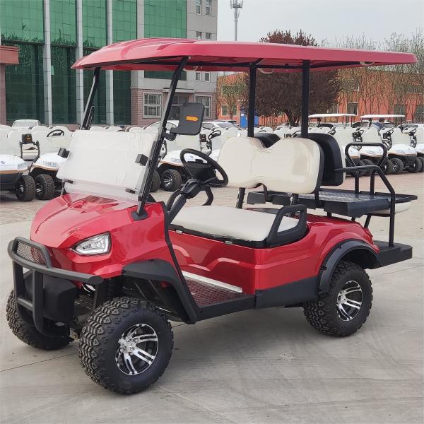 OEM Electric Golf Cart 50km Range Electric LSV Aetric Golf Cart With Lead Acid Battery