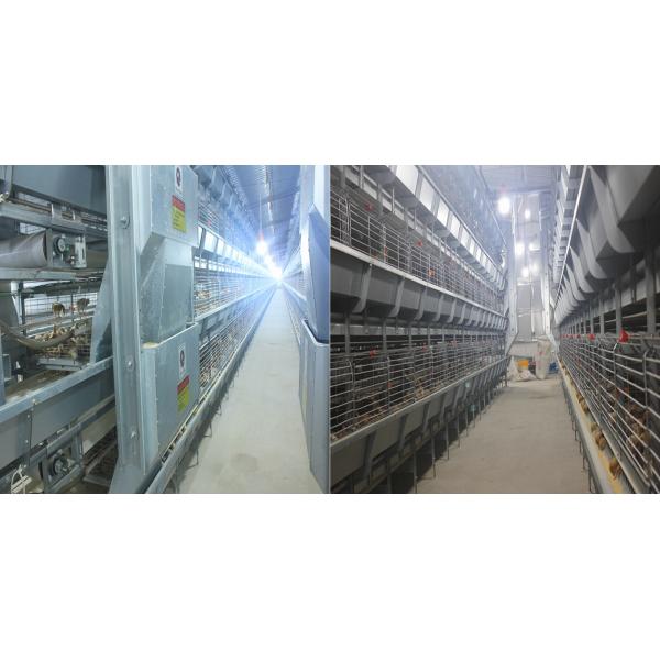 Galvanized Broiler Battery Chicken Cage Poultry Farm Equipment For Meat Chicken
