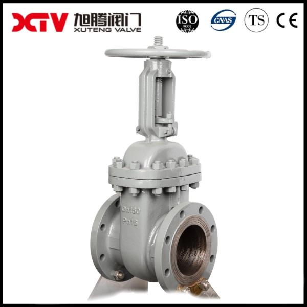 ANSI Flanged Class 150 Stainless Steel Body Gate Valve Affordable Full Payment Option
