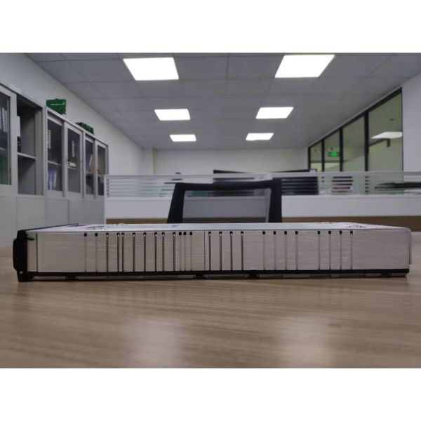 Eltek DC AC Inverter Rectiverter Module with 115V/750VA 48V/600W High Efficiency Power Conversion
