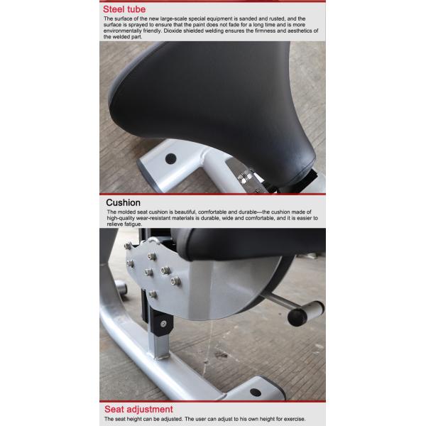 Life Fitness Commercial Gym Equipment Biceps Curl Plate Loaded Exercise Machine