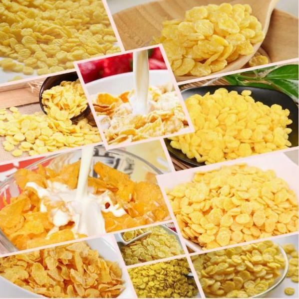 Alta línea de transformación alimenticia de las avenas con el sistema de control del PLC