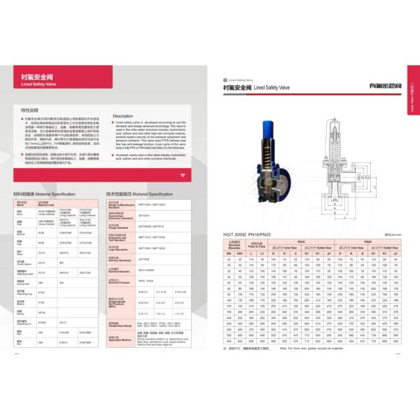 RF Spring Loaded PTFE PFA Safety Valve Pressure Relief WCB Material