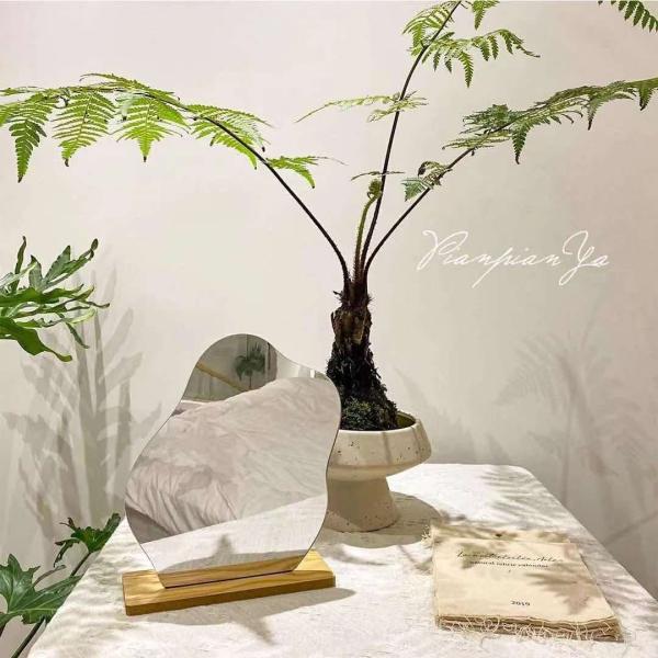 Curvy Portable Lighted Makeup Mirror Wood Stand For Vanity