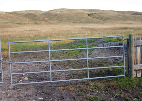 Galvanized 1.2mm Driveway Farm Gate Metal Agricultural With Hingle
