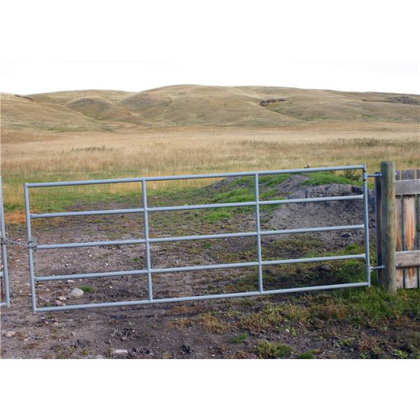 Fully Welding 16 Foot Livestock Metal Gate With Lock 42Inch 70.5inch Height