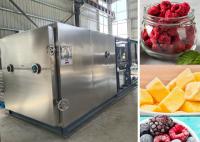Machine de séchage sous vide à froid à distance alimentation lait fruits contrôlée par un PLC