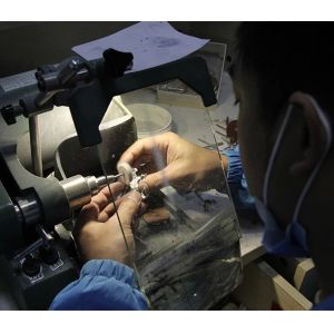 Golden Smile Dental Lab