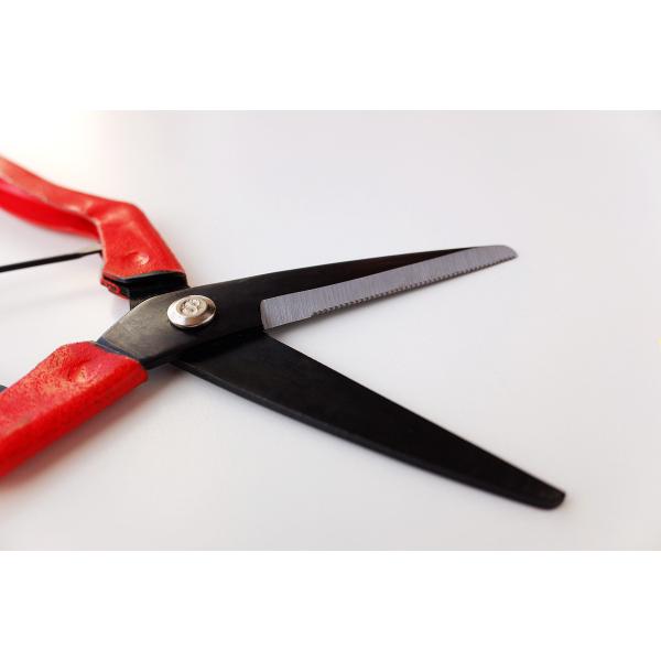 Multifunctional Kitchen Scissors Ambidextrous Design Micro Sawtooth Blade
