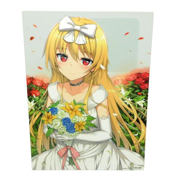 Factory Oem Wholesale acrylic figure display Photo Frames