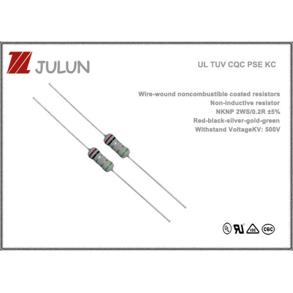 покрытое Noncombustible резистора раны провода 125V 250V