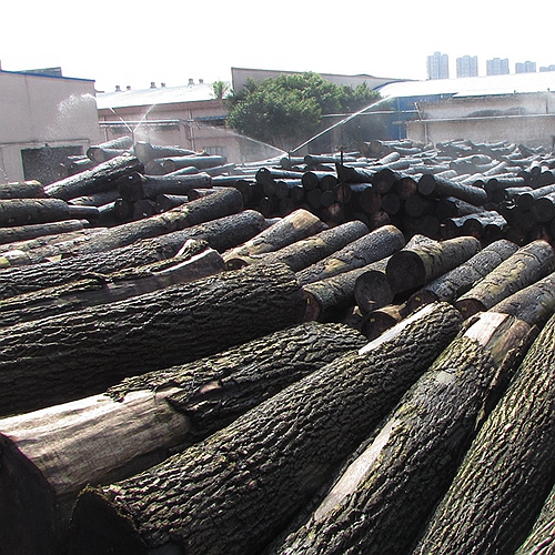 Облицовки узелка белого ясеня FSC зерно картины естественной спиральное ранг на толщина 0.5-0.55mm украшения гостиницы