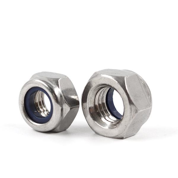 Hot / Cold Forging Nylon Insert Lock Nut Customized DIN ISO GB AMSE BS