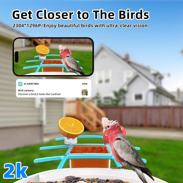 Outdoor Waterproof Smart Bird Feeder Camera with Squirrel Repellent