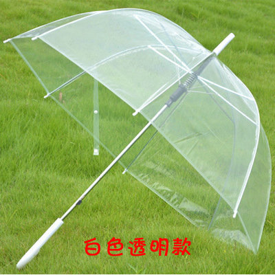 Metal Ribs Transparent Rain Umbrella with Apollo Design and Customized Logo Printing