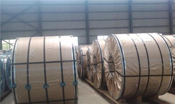 SS304l 304 Stainless Steel Sheet Coil JIS Astm Hot Rolled Steel 20mm Coil