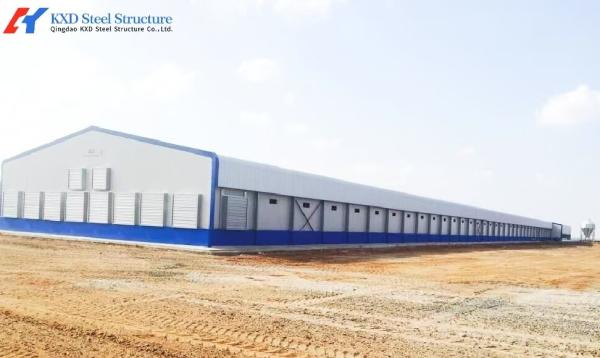 Prefab Steel Structure Broiler Chicken Shed with Onsite Installation