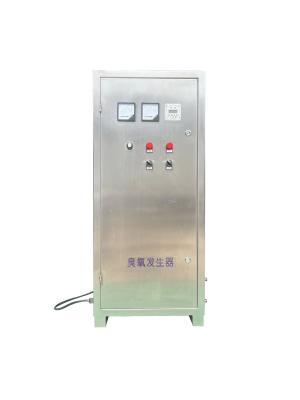 304SS Air Source Ozone Generator Water Cooled Ozone Equipment Industrial 10g 100g