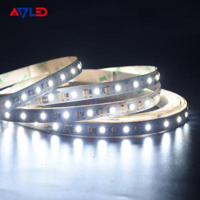 Luz de tira branca ajustável dinâmica 12V do diodo emissor de luz impermeável