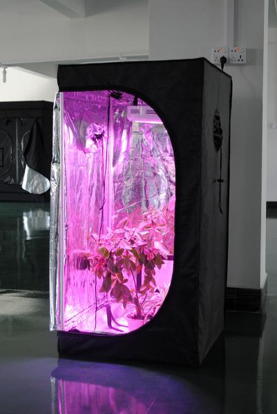 Waterproof 60*60*140cm 24*24*55 Inch Indoor Grow Tent