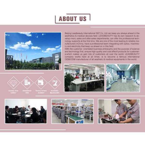 Cryotherapy Fat Burner Reduction Losing Weight Freeze Machine Weight Loss Slimming machine