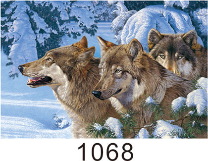 0.6mm Thickness 3D Lenticular Images  ,  Advertising Poster 3D Wolf Picture